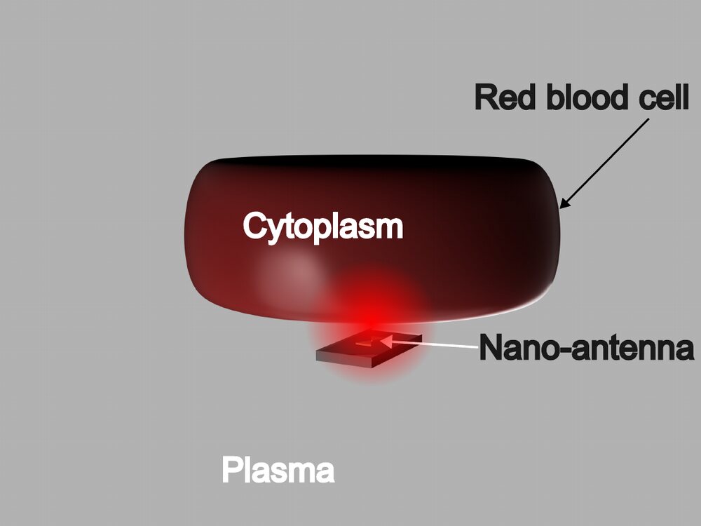 Figure from our ACM NanoCom paper: a nano-optical antenna sensing a single red blood cell