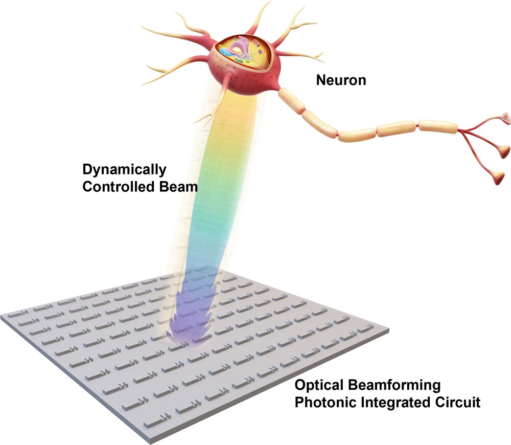 Figure from our IEEE TMBMC paper: an implantable photonic integrated circuit steering an optical beam to a neuron